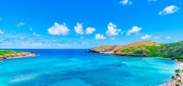 Honolulu flight